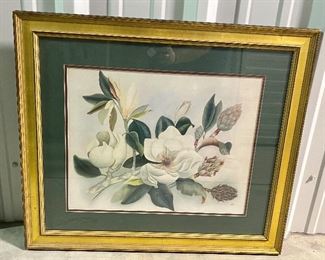 36.	Framed Magnolia Print 27.5”H x 23”W		$20
