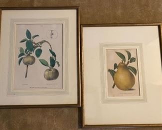Peach and Pear Bookplates    