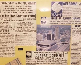 Houston wrestling at the Summit