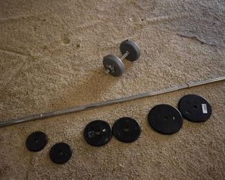 Dumbbell v Barbell With 35 lbs. of Weights