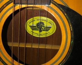 eye with long lashes