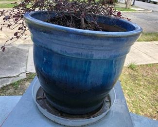 Pair of Blue Planters $40 