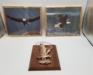 Eagle Prints and Eagle Plaque