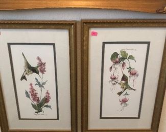 Beautiful pair of hummingbird pictures