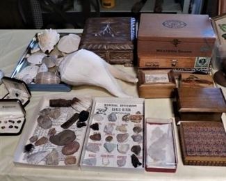 SHELLS AND ROCKS COLLECTIONS