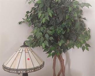 Lamp & Silk Tree