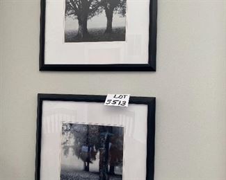 Lot 5513. $52.00 Two Beautiful Black & White Photo Prints, Featuring trees in a mist - 22x22". Makes a nice grouping,