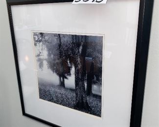 Lot 5513. $52.00 Two Beautiful Black & White Photo Prints, Featuring trees in a mist - 22x22". Makes a nice grouping,