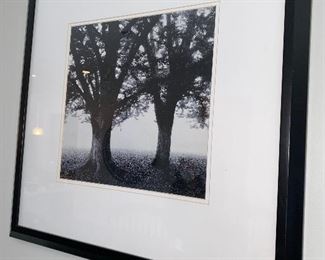 Lot 5513. $52.00 Two Beautiful Black & White Photo Prints, Featuring trees in a mist - 22x22". Makes a nice grouping,