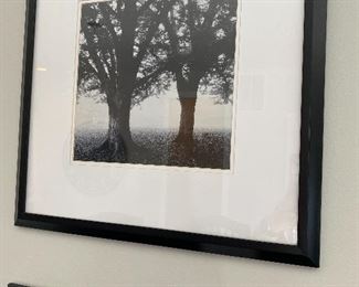 Lot 5513. $52.00 Two Beautiful Black & White Photo Prints, Featuring trees in a mist - 22x22". Makes a nice grouping,