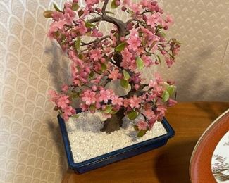 Asian JADE Tree
