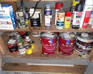 Basement/Garage  Car Chems & Paint