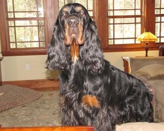 We hope to see you sniffing around our sale soon!