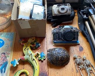 Cameras/Canon AE1/Blackberry