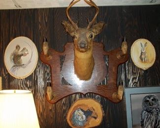 Taxidermy hat rack