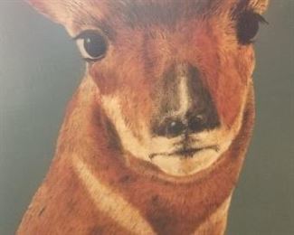 Small Kangaroo   Buy it now $20