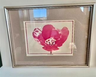 $90 - S. Weiss photograph, Framed & matted- 9.5"H x 12.75"W  