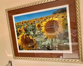 $65 - Framed photograph; signed and dated (9-8-10).  16.75"H x 21"W