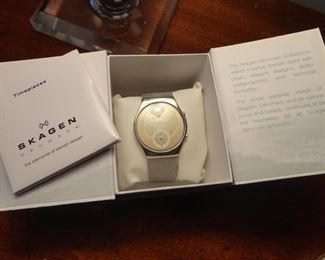 Skagen Man's Watch