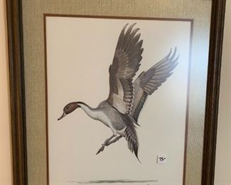 #68	Pintail Print of a Duck signed by Ray Harm	 $75.00 

