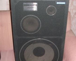 Pioneer speakers (2 of these) CS-G301 WAII - WORKING