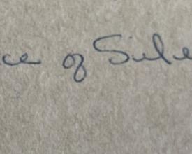 *Original* Navajo Art Adee Voice of Silence Adolph Bittany Dodge Native American	19x16in	
