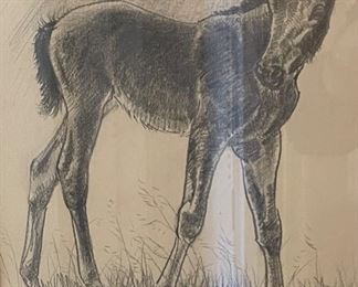Helen Buckland Framed Horse Sketch	21.5x17.5	

