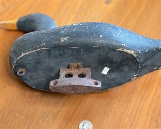 Antique Duck Decoy Black Scoter Butter Bill duck decoy	9x5x14in	HxWxD
