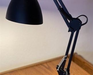 Swing Arm Task Lamp	20in H	
