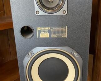 Fisher STV-873 Vintage Speakers	36x14.5x13.5in	HxWxD
