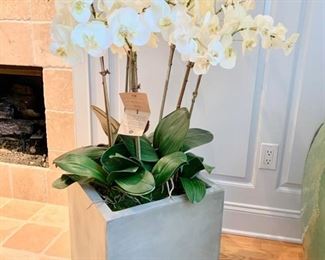 14. Orchid in Planter (16" x 16" x 18")