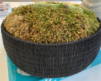 34. Black Planter w/ Moss (12" x 6")