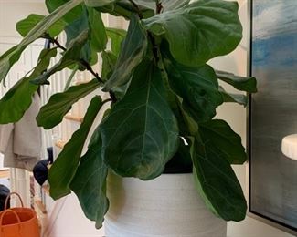 44. White Ceramic Planter (10")