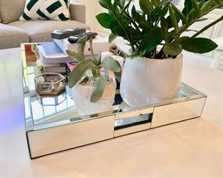 72. Mirror Tray (28" x 18")