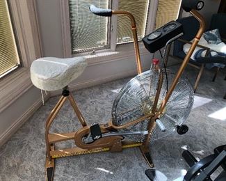 Schwinn Air-Dyne bike