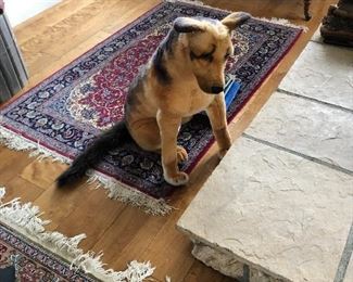 this dog is indeed fake and is indeed for sale