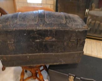 Small humpback chest