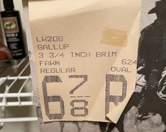Stetson Gallup Fawn Hat