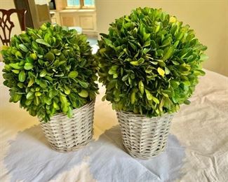 $50 - Pair dried boxwood in wicker baskets.  #1 - 10"H x 7"D and #2 - 9"H x 7"D