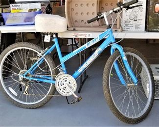 Great bike! We have other bikes in this sale too besides the blue one. 