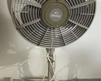 CLEARANCE ! $4.00 NOW, WAS $20.00.....................Fan (H184)