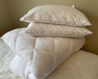 CLEARANCE ! $5.00 NOW, WAS $25.00.......................Queen Mattress Pad and 2 Pillows (H337)