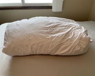 HALF OFF! $30.00 NOW, WAS $60.00.........................Queen Goose Down (H316)