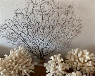 108 Coral Collection