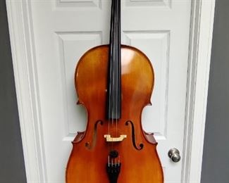 Viola and case