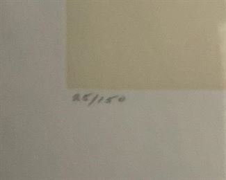 2 framed, signed and numbered prints in relief by Ricki McNeill.