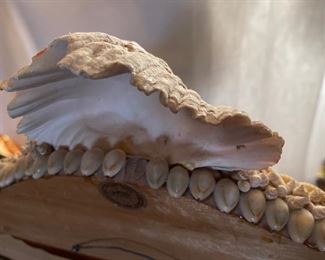 Large Shell Encrusted Mirror