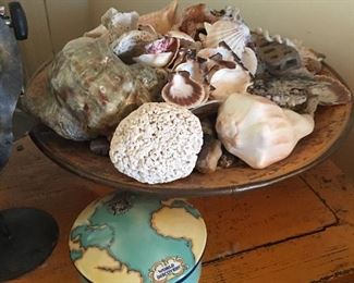 Tiffany Jar, Seashells