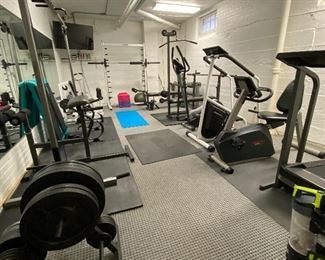 WORK OUT ROOM IN THE BASEMENT