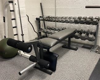 BENCH AND WEIGHTS